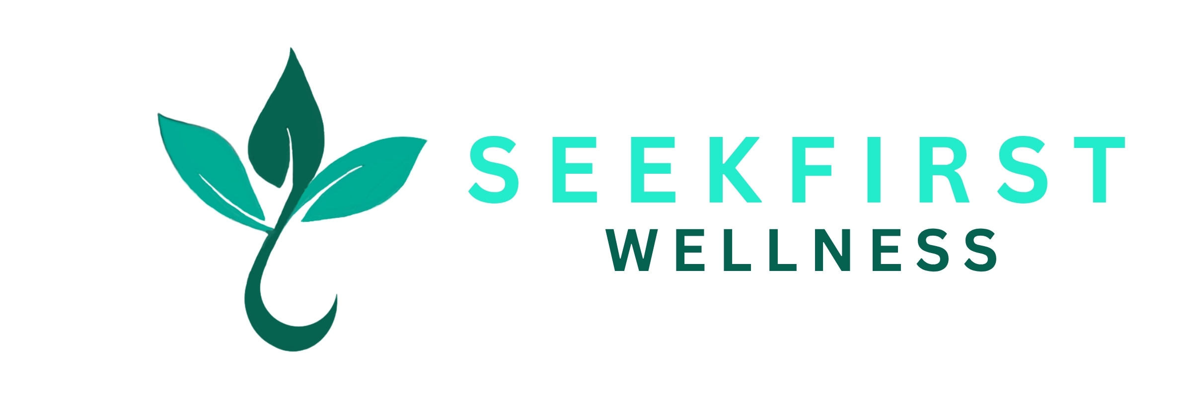 seekfirstwellness.co.za